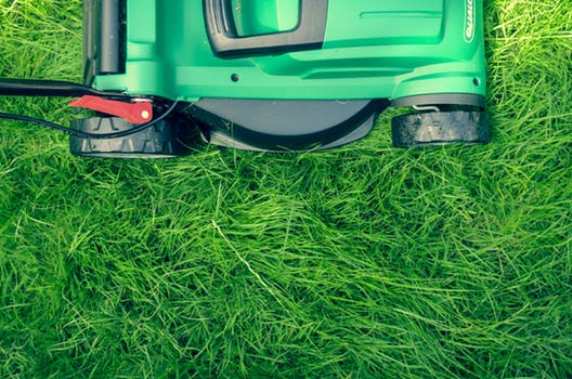 Lawn Care & Local Resources